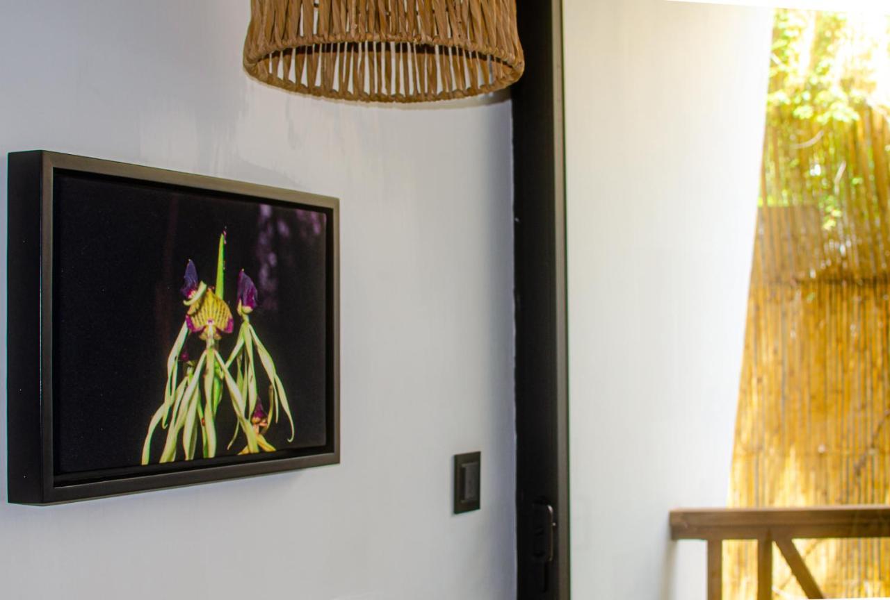 Ximena Hotel Boutique Sayulita Luaran gambar